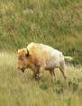 /album/fotogalerij/a908562-500648800050030-157289692-n-jpg/